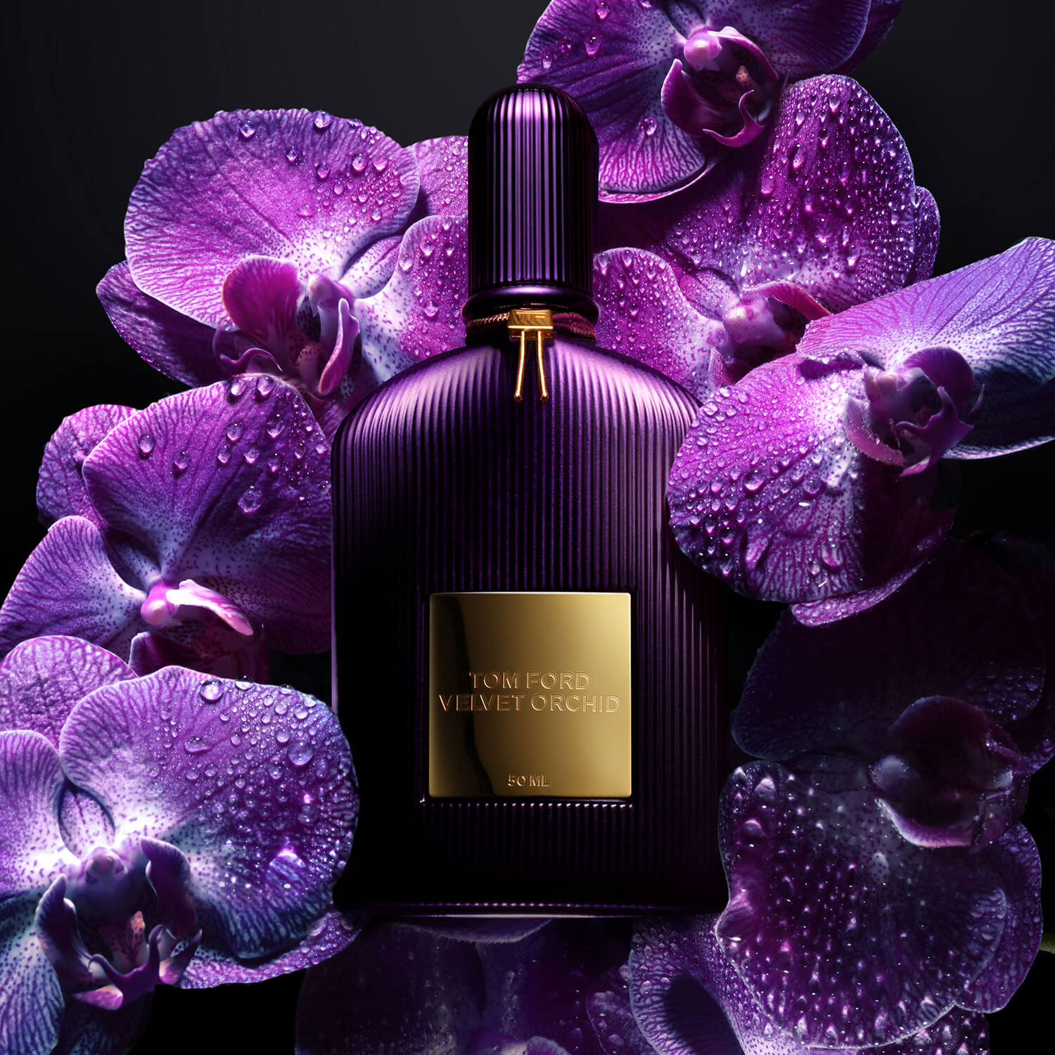 Tom ford black discount orchid a que huele